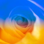 NftPhotographer-mitsuyou
