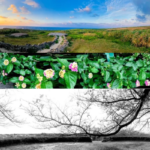 NFT Photographer-ダリンリヒ