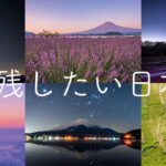 NFT photographer-りさ/Risa