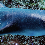 3D NFT アーティスト-FUJISAWA