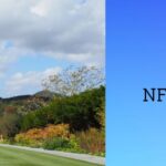 NFT Photographer-seeker