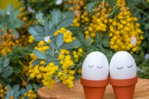 写真NFT画像・egg-days in yellow_flowers