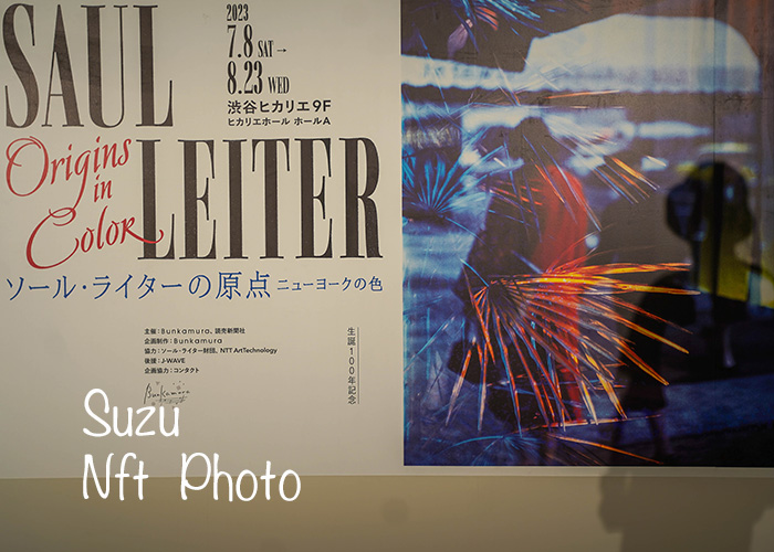 ソール・ライター展と東京の写真ギャラリーおでかけ話