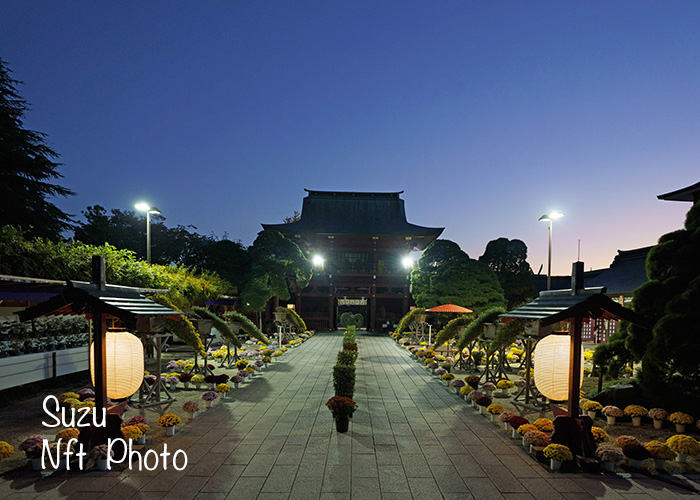 笠間の菊まつり・秋の写真撮影に行ってきた旅行記ブログ