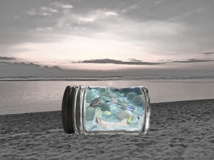 写真NFT画像・人魚姫
