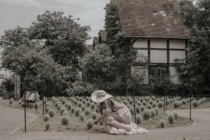 写真NFT画像・夏に吹く風