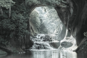写真NFT画像・陽光